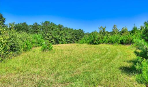 Photo #20 of 170 Landing, Jackson, SC 143.8 acres