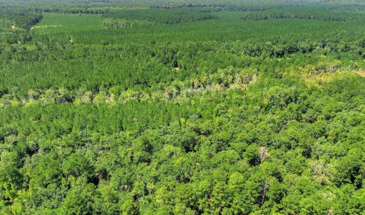 Photo #64 of 170 Landing, Jackson, SC 143.8 acres