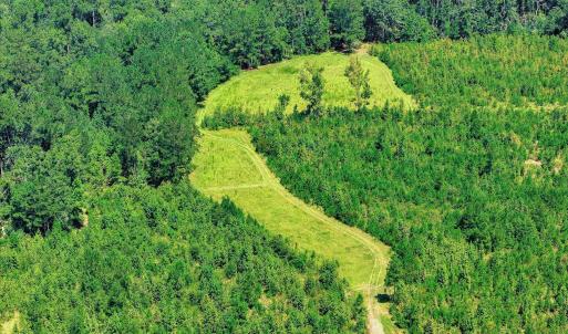 Photo #63 of 170 Landing, Jackson, SC 143.8 acres