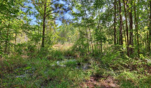 Photo #39 of 170 Landing, Jackson, SC 143.8 acres