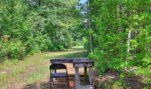 Photo #32 of 170 Landing, Jackson, SC 143.8 acres