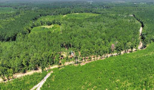 Photo #73 of 170 Landing, Jackson, SC 143.8 acres