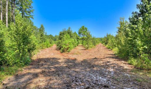 Photo #15 of 170 Landing, Jackson, SC 143.8 acres