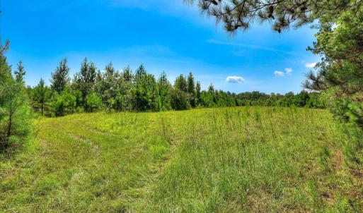 Photo #24 of 170 Landing, Jackson, SC 143.8 acres