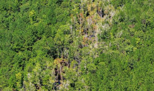 Photo #66 of 170 Landing, Jackson, SC 143.8 acres