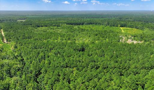 Photo #70 of 170 Landing, Jackson, SC 143.8 acres