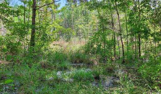 Photo #40 of 170 Landing, Jackson, SC 143.8 acres