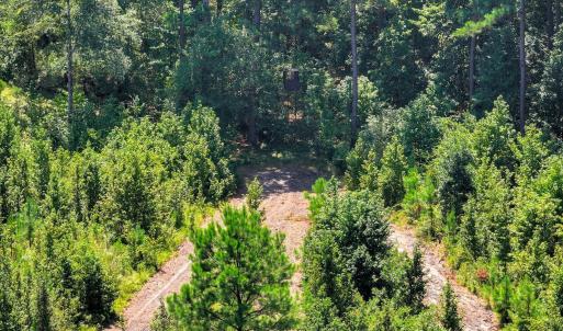Photo #59 of 170 Landing, Jackson, SC 143.8 acres