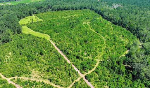 Photo #60 of 170 Landing, Jackson, SC 143.8 acres
