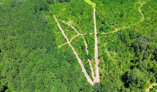 Photo #55 of 170 Landing, Jackson, SC 143.8 acres