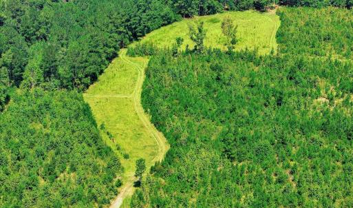 Photo #62 of 170 Landing, Jackson, SC 143.8 acres