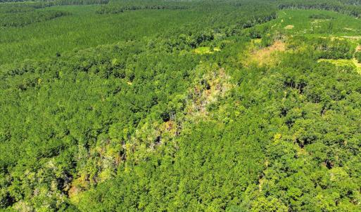 Photo #65 of 170 Landing, Jackson, SC 143.8 acres
