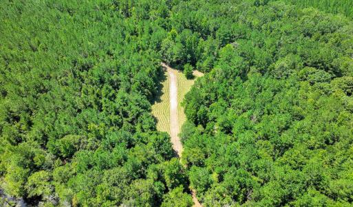 Photo #67 of 170 Landing, Jackson, SC 143.8 acres