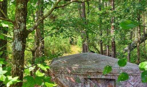 Photo #22 of 170 Landing, Jackson, SC 143.8 acres
