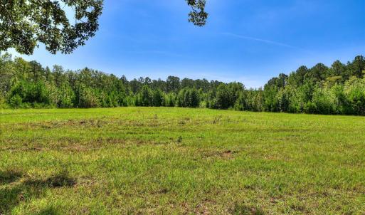 Photo #5 of 170 Landing, Jackson, SC 143.8 acres