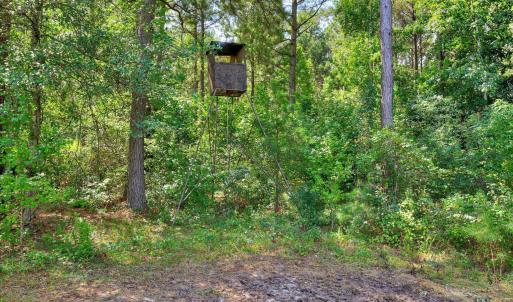 Photo #14 of 170 Landing, Jackson, SC 143.8 acres