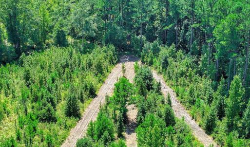 Photo #58 of 170 Landing, Jackson, SC 143.8 acres