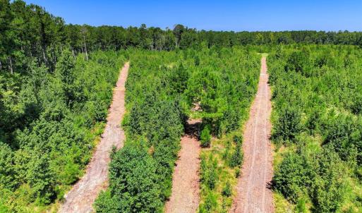 Photo #54 of 170 Landing, Jackson, SC 143.8 acres