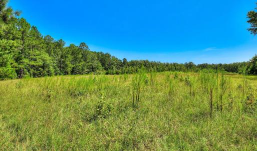 Photo #25 of 170 Landing, Jackson, SC 143.8 acres
