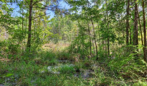 Photo #38 of 170 Landing, Jackson, SC 143.8 acres