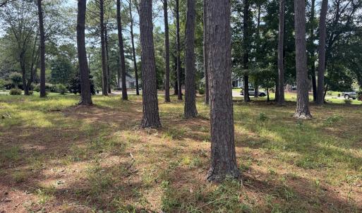 Photo #14 of 43 Kings, Sunset Beach, NC 0.5 acres