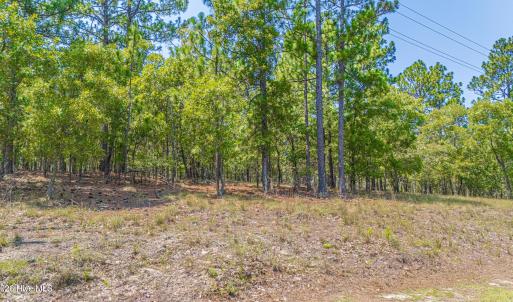 Photo #7 of 143 Swaringen, Seven Lakes, NC 0.6 acres