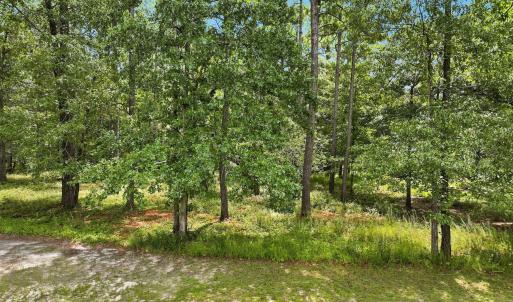Photo #5 of 499 Hearthside, Bolivia, NC 0.6 acres