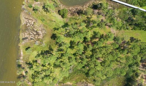 Photo #3 of 232 Oyster Point, Oriental, NC 3.1 acres