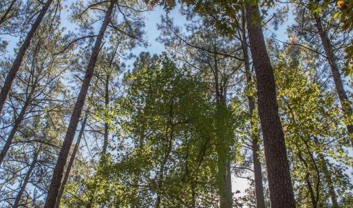 107-Nearby Jordan Lake