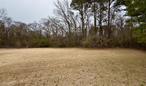 Photo #2 of 102 Colt, Pikeville, NC 13.5 acres