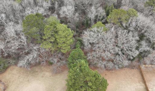 Photo #3 of 102 Colt, Pikeville, NC 13.5 acres