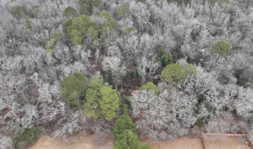 Photo #4 of 102 Colt, Pikeville, NC 13.5 acres