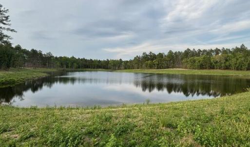 Photo #1 of 1613 Derby Rd, Jackson Springs, NC 343.0 acres