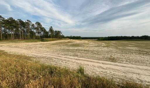 Photo #10 of 1613 Derby Rd, Jackson Springs, NC 343.0 acres
