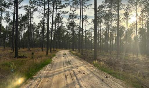 Photo #3 of 1613 Derby Rd, Jackson Springs, NC 343.0 acres