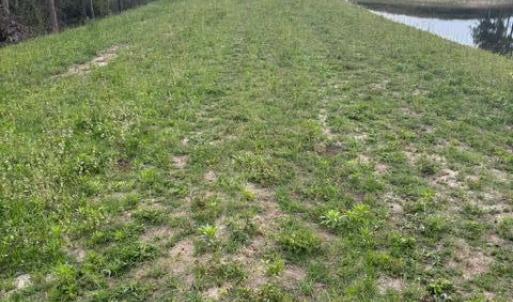 Photo #13 of 1613 Derby Rd, Jackson Springs, NC 343.0 acres