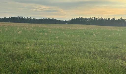 Photo #5 of 1613 Derby Rd, Jackson Springs, NC 343.0 acres