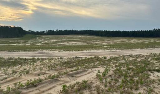Photo #14 of 1613 Derby Rd, Jackson Springs, NC 343.0 acres