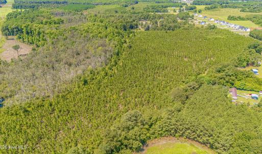 Photo #5 of Tbd Blue Springs, Red Springs, NC 62.0 acres