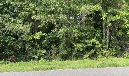 Photo #1 of 325 Trelawney, Wilmington, NC 0.3 acres
