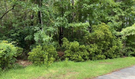 Photo #2 of 325 Trelawney, Wilmington, NC 0.3 acres