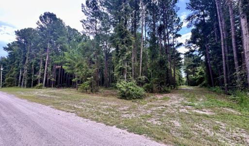 Photo #7 of 36 Waterway, Belhaven, NC 5.6 acres