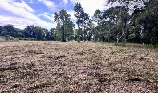 Photo #13 of 36 Waterway, Belhaven, NC 5.6 acres