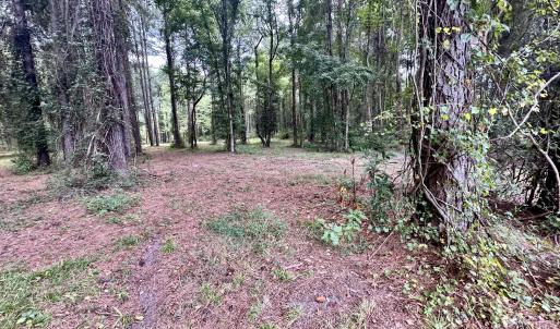 Photo #17 of 36 Waterway, Belhaven, NC 5.6 acres