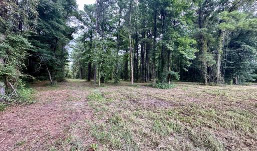 Photo #10 of 36 Waterway, Belhaven, NC 5.6 acres