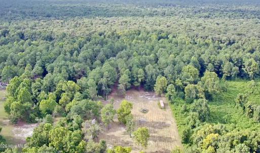 Photo #3 of 36 Waterway, Belhaven, NC 5.6 acres