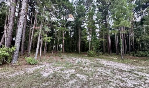Photo #8 of 36 Waterway, Belhaven, NC 5.6 acres