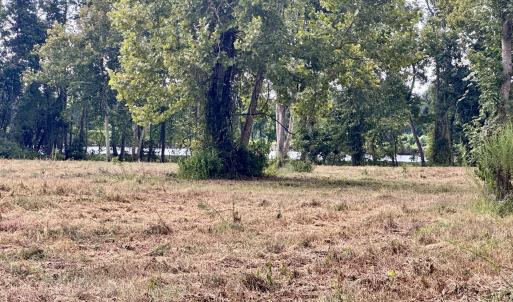 Photo #14 of 36 Waterway, Belhaven, NC 5.6 acres