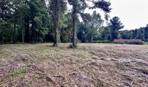 Photo #11 of 36 Waterway, Belhaven, NC 5.6 acres
