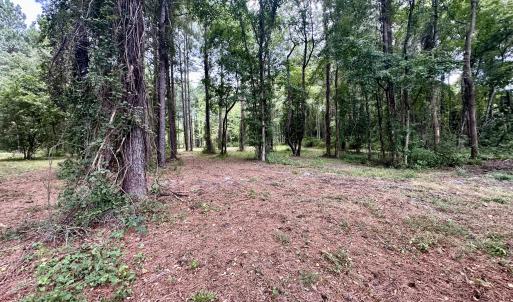 Photo #12 of 36 Waterway, Belhaven, NC 5.6 acres